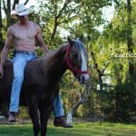 IMG_federico-dominguez-1280x720px