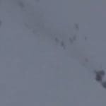 a36197bd953dfa7f7aaeac5cef63a9a7_article430bw