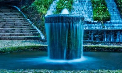 Charlie Brown - Uruapan parque nacional