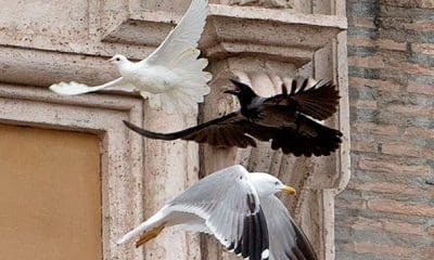 REUTERS / Alessandro Bianchi