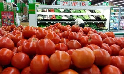 foto: mizitacuaro.com