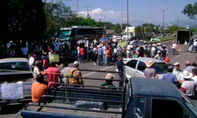 agenciainfomania.com