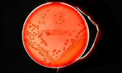 Fabrizio Bensch / Reuters