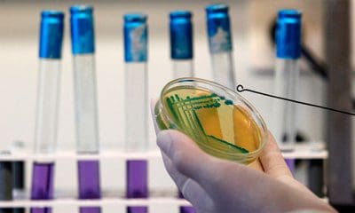 Stoyan Nenov / Reuters