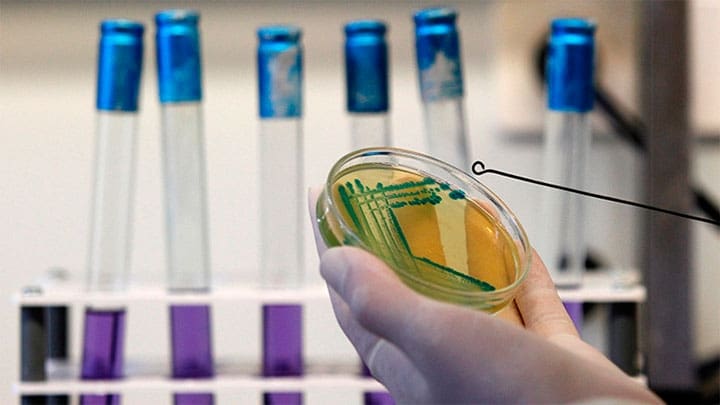 Stoyan Nenov / Reuters