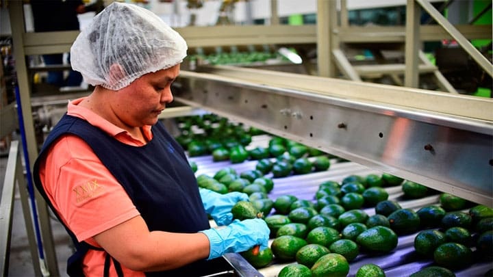 Ronaldo Schemidt / AFP