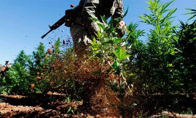 Tomas Bravo / Reuters