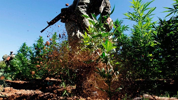 Tomas Bravo / Reuters