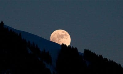 Leonhard Foeger / Reuters