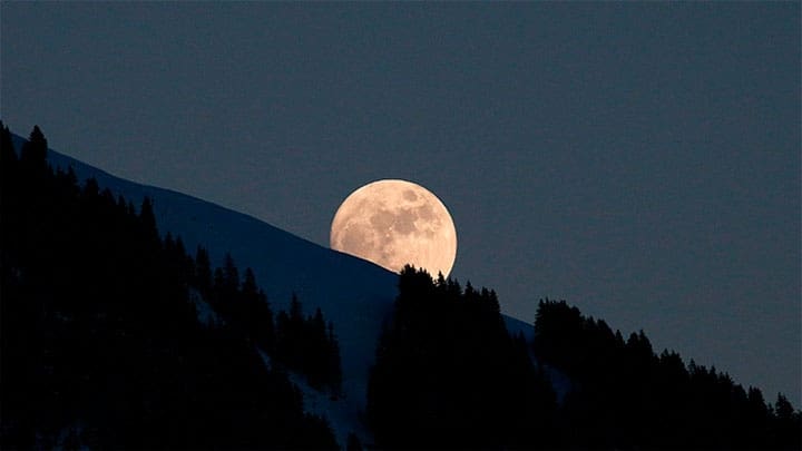 Leonhard Foeger / Reuters