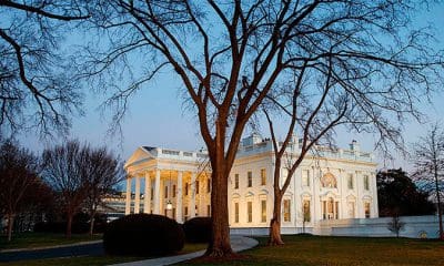 GettyImages / Drew Angerer