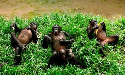 Goran Tomasevic / Reuters