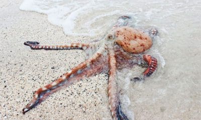 Pexels.com / Unsplash