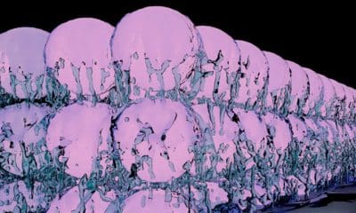 ETH Zurich / Julian Léonard