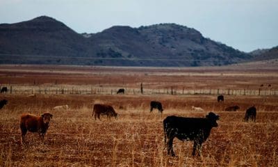 Tomas Bravo / Reuters