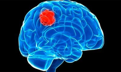 El estudio fue publicado en la revista británica Nature. | Foto: @elrioec