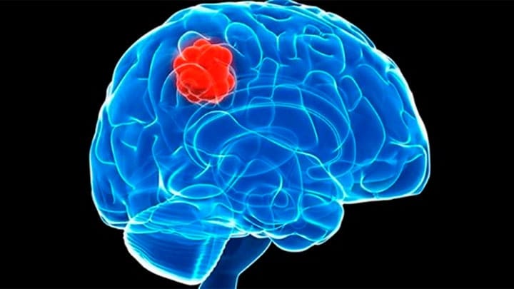 El estudio fue publicado en la revista británica Nature. | Foto: @elrioec