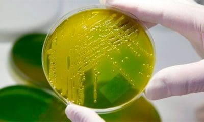 La implementación de este descubrimiento es la primera demostración de una técnica funcional de detección de minas terrestres. | Foto: EFE