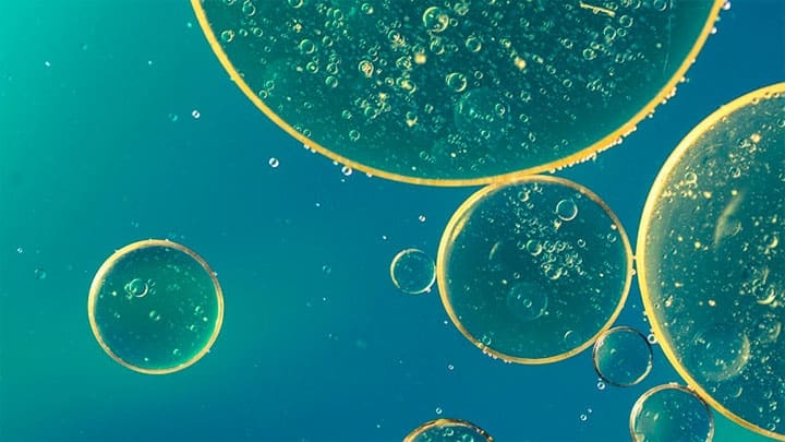 Imagen Ilustrativa / pixabay / the3cats