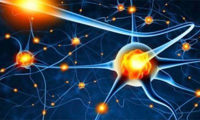 Beneficios en la mejora de la memoria pueden tardar unas varias semanas. | Foto: THINKSTOCK