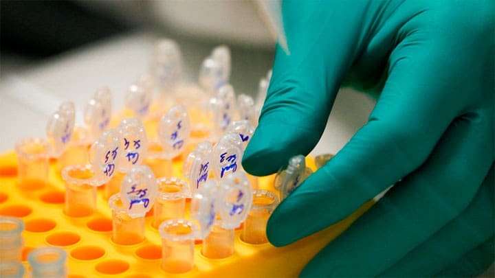 Imagen ilustrativa. / Robert Pratta / Reuters