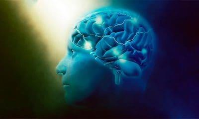 Imagen ilustrativa / freepik.com / Kjpargeter