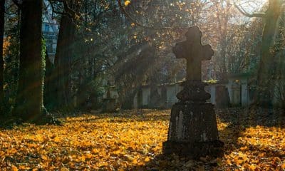 Imagen Ilustrativa / Pixabay / Pexels