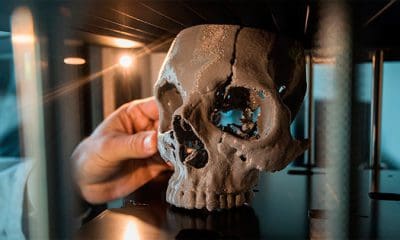 / Imagen Ilustrativa/ dpa / Andreas Arnold / www.globallookpress.com