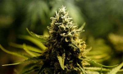 / John Vizcaino / Reuters