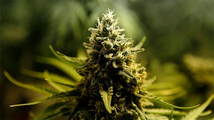 / John Vizcaino / Reuters