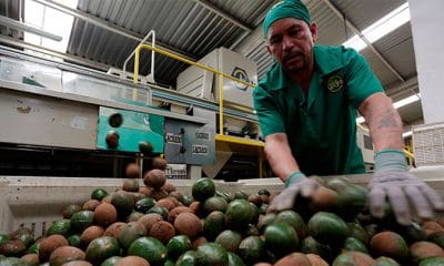 / Toby Melville / Reuters