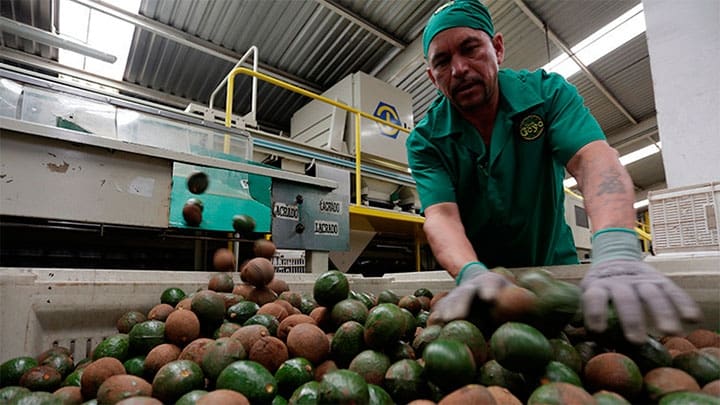 / Toby Melville / Reuters