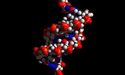 / Imagen ilustrativa / pixabay.com