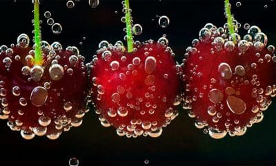 / Foto ilustrativa / pixabay.com