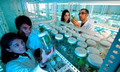 / foto ilustrativa / pixabay.com