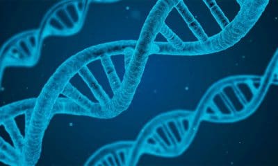 / Imagen ilustrativa pixabay / qimono