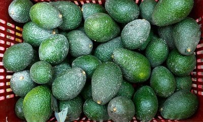 / Imagen ilustrativa / Mariana Bazo / Reuters