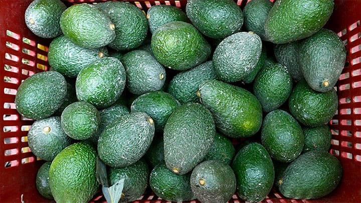 / Imagen ilustrativa / Mariana Bazo / Reuters