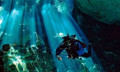 / Imagen ilustrativa / Pixabay / jhovani_serralta