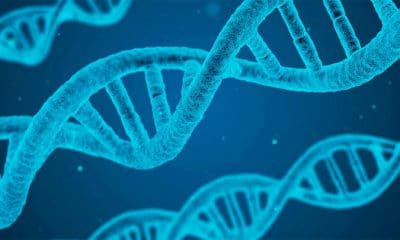 / Foto ilustrativa / pixabay.com