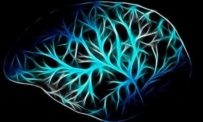 / Foto ilustrativa / pixabay.com