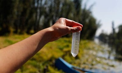 / Universidad Nacional Autónoma de México (UNAM) examina el zooplancton en un canal en Xochimilco, Ciudad de México, 13 de febrero de 2014.