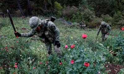 / Imagen ilustrativa / Henry Romero / Reuters