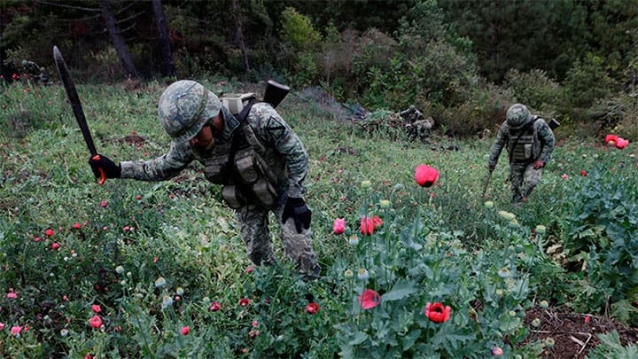 / Imagen ilustrativa / Henry Romero / Reuters