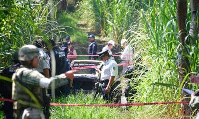 / Foto Ilustrativa/ Personal policial y forense en Veracruz, México, 19 de agosto de 2017. / Guillermo Carreon / Reuters
