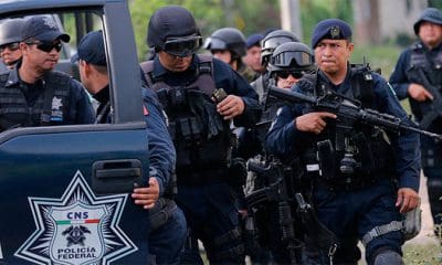 / Elementos de la Policía Federal inspeccionan un área cerca de fosas clandestinas en Pueblo Viejo a las afueras de Iguala, Guerrero, el 10 de octubre de 2014. / Henry Romero / Reuters