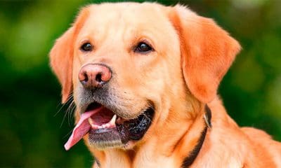 / Foto ilustrativa / pixabay.com