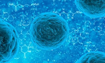 / Imagen ilustrativa publicdomainpictures.net