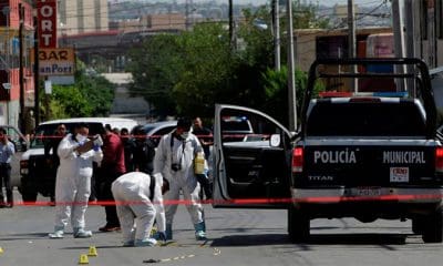 / Investigadores forenses trabajan en una escena del crimen en México. / Jose Luis Gonzalez / Reuters