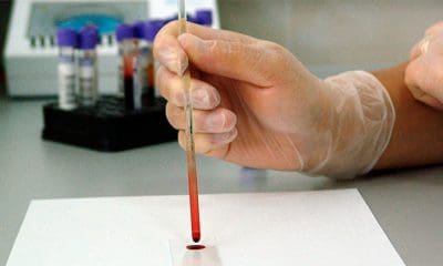 / Imagen ilustrativa Pixabay / PublicDomainPictures